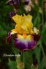 AddText_05-29-11.25.19