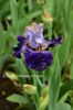 AddText_05-29-11.22.02
