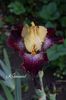 AddText_05-28-04.42.58