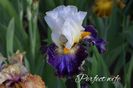 AddText_05-26-08.40.29