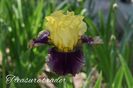AddText_05-24-01.22.58