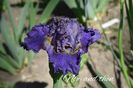 AddText_05-24-01.21.31
