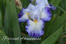 AddText_05-23-05.50.28