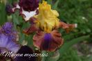 AddText_05-23-05.42.11