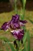 AddText_05-23-05.39.30