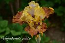 AddText_05-22-11.25.50
