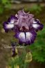 AddText_05-22-11.23.00