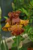 AddText_05-22-11.20.28
