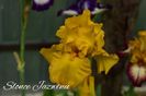 AddText_05-22-11.19.01