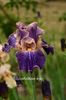 AddText_05-22-11.14.15