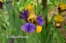 AddText_05-22-11.11.54