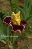 AddText_05-22-11.08.56