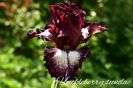 AddText_05-22-10.57.59
