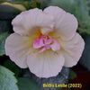 Img-2022.06.02