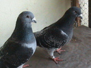 DSC01457