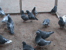 DSC01465