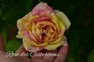 AddText_06-03-04.52.15