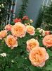 20220608_100525(0)