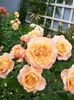 20220608_120820(0)