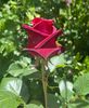 8A940C11-C8DF-42E5-9CF6-2332B6D4939A