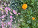 341ACC14-185E-4543-B4FC-5276C96F5664