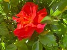 6F956548-A18B-4E93-A60B-50DFD6A95505