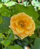 19172A47-C21D-439D-B9C8-BB2E629C75E2