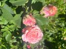 A57F1349-2776-4BEE-90F0-A388FE257FF5