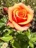 E39B0585-8A98-4AD4-B47B-414C5DE72FF7