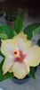 received_2182905601868815