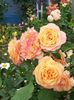 20220612_100004(0)
