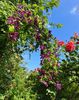 A38D6A4F-BC1E-4BCA-A996-52020168D369