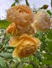 FA791B62-D75C-4A1F-8443-84B994330A8D
