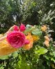 73CE77D6-5808-4656-BD59-4348C2B54A99