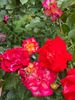 876563E3-4DBE-41E8-BAA2-CB1096DF05B1