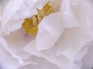 P1390023