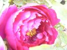 P1390032
