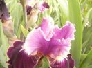 P1390077