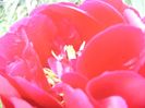 P1390260