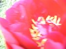 P1390262