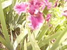 P1390539