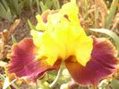 P1390554