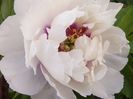 P1390695