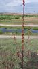 VideoCapture_20220612-121815