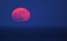 Luna plina in Sagetator (Strawberry moon)