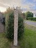 Img. 2022.06.13