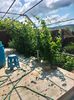 IMG20220618110412