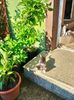IMG20220616083925