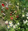 9483BB74-BCF2-421F-A93B-F8BEE8CC414D