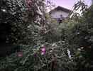 6F750024-2318-4618-8C45-F5BA22425261